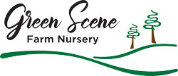 Green Scene Logo